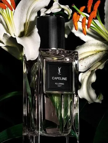 LE VESTIAIRE DES PARFUMS CAPELINE