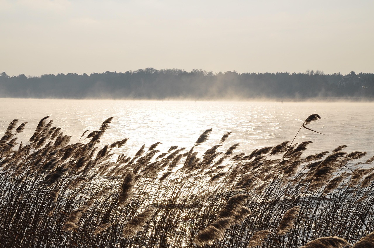 ダビドフ「クール ウォーター」に似てる香水5選