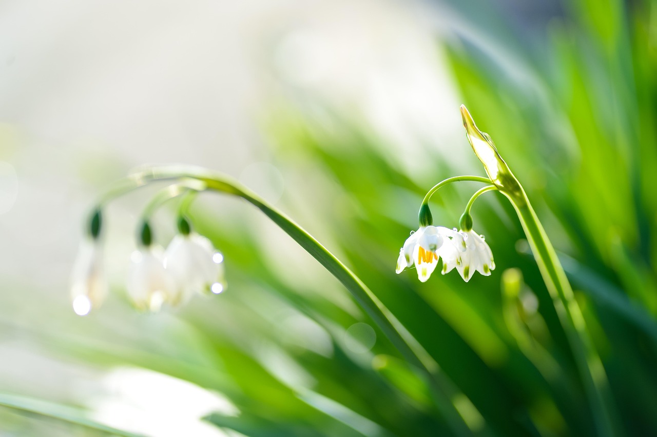 ディオール「アディクト オー フレッシュ」に似てる香水5選