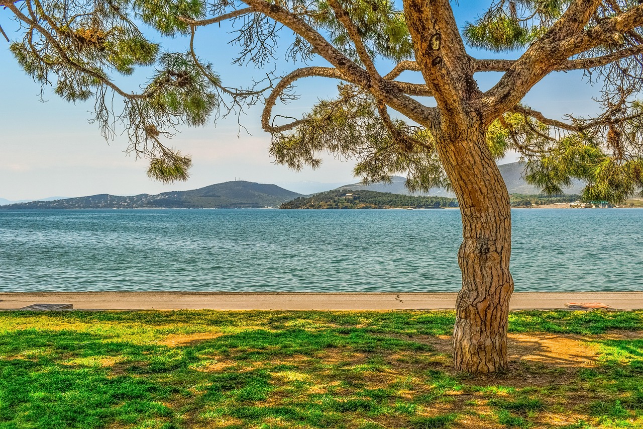 ディプティック「ド ソン オーデトワレ」に似てる香水5選