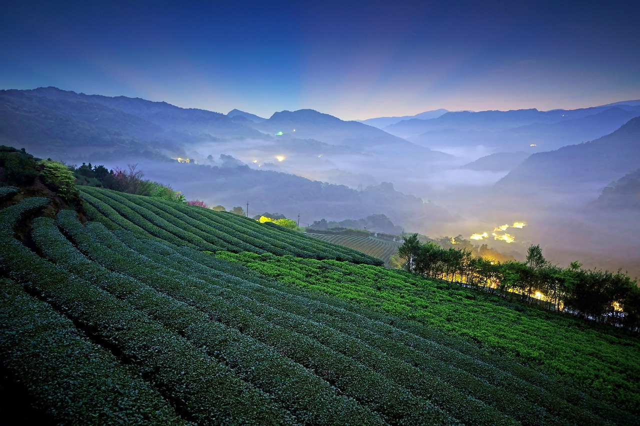 ザ ハウス オブ ウード「ザタイム」に似てる香水5選